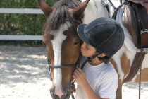 Alumno y caballo, el binomio perfecto
