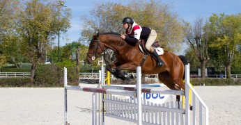 Salto de obstáculos