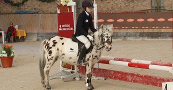Poni Club España 2016
